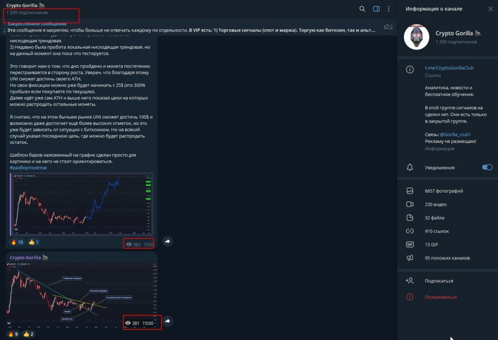 Crypto Gorilla информация о канале