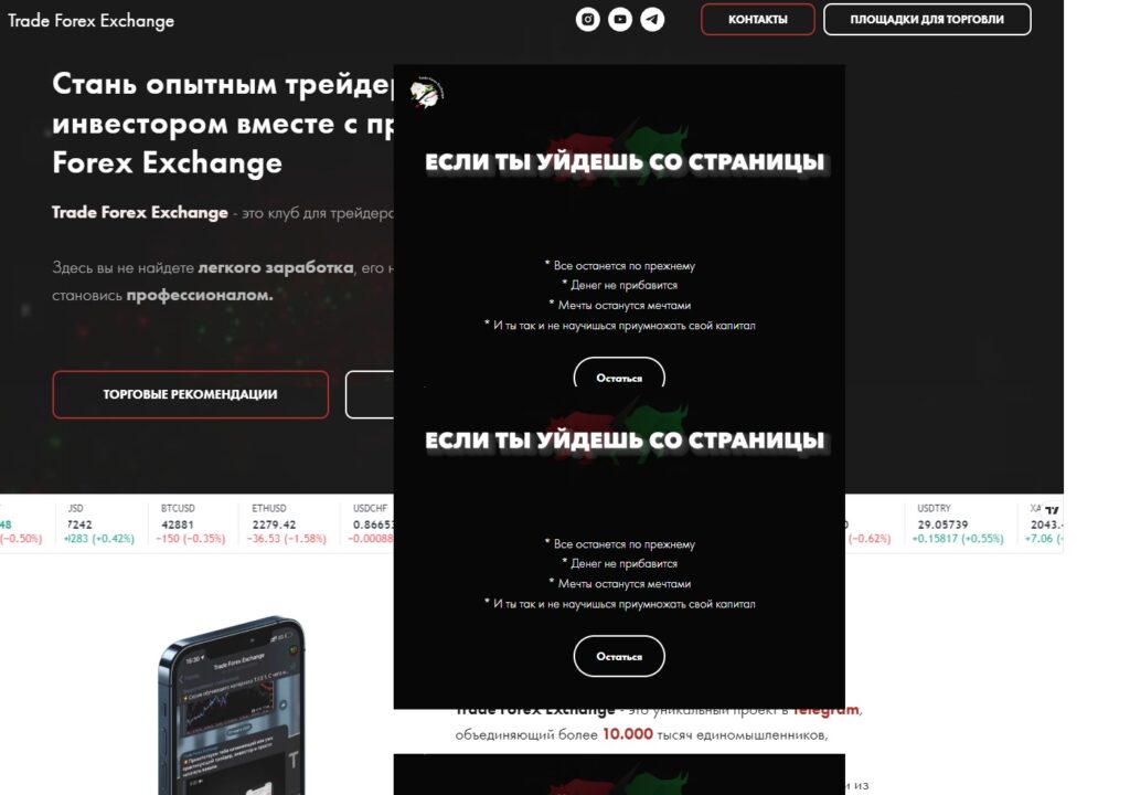 Trade Forex Exchange - онлайн-ресурс