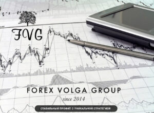 проект Forex Volga Group