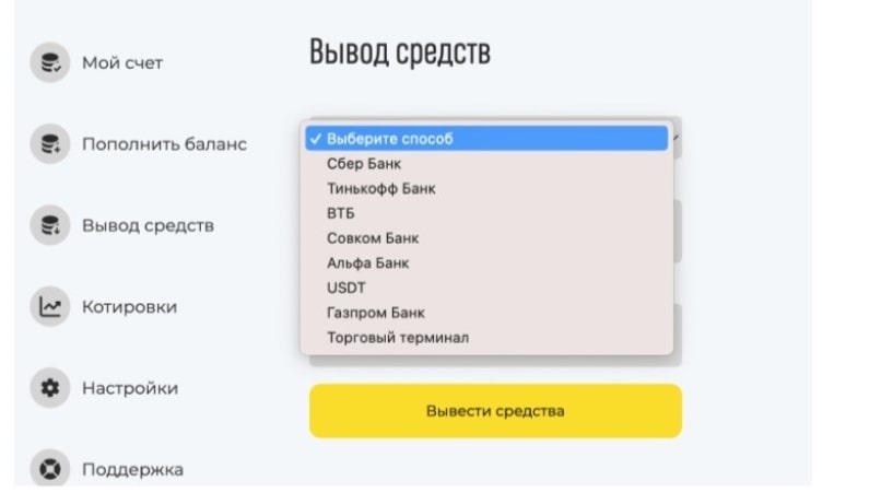 PlatformGzp вывод средств