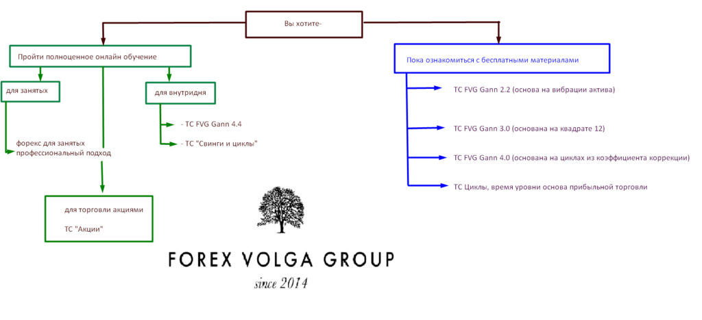 Платные продукты в школе Forex Volga Group