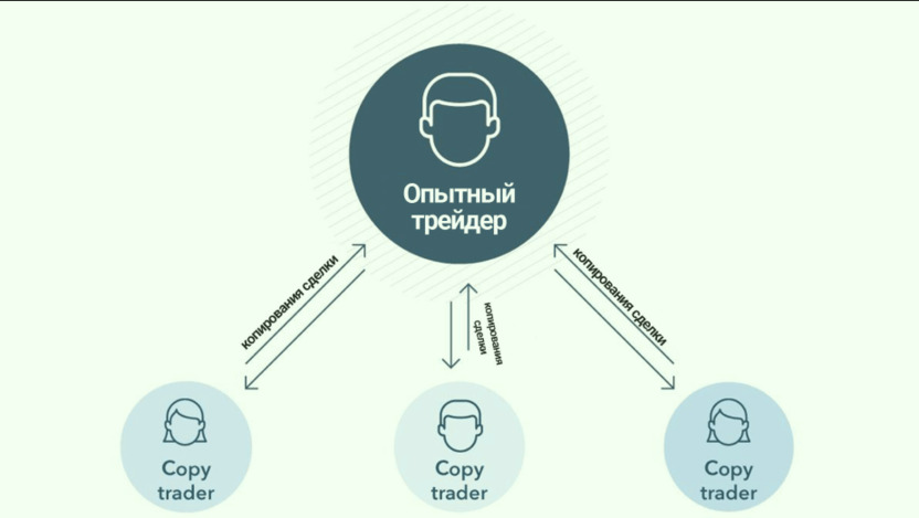 Как работает копитрейдинг