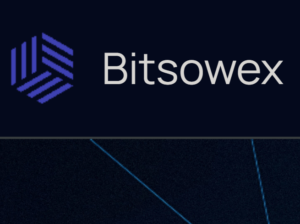 Bitsowex