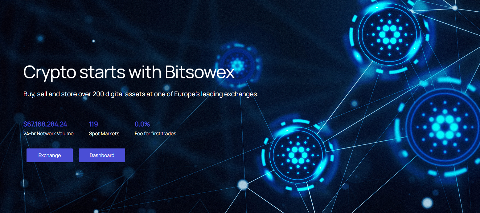 bitsowex com