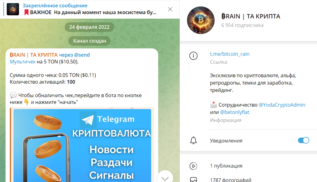 brain та крипта