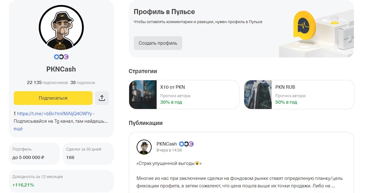 идеи pkn отзывы