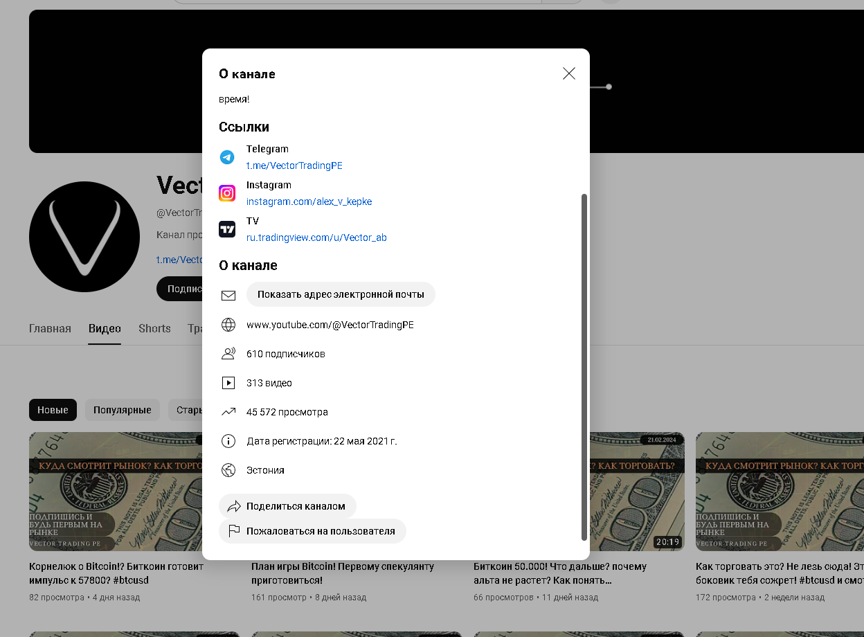 обзор Ютуб Vector Trading PE