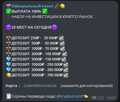 проект best bitco