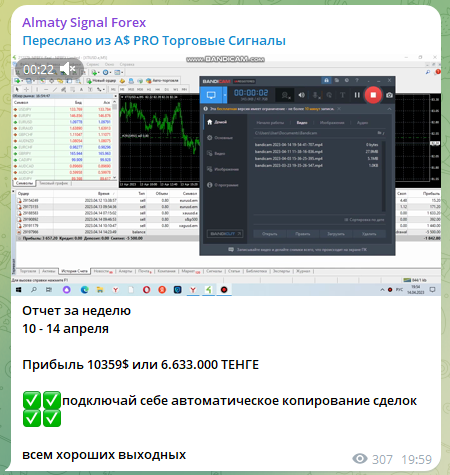 Almaty Signal Forex отзывы