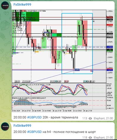 Инвестор Андрей Богданов FxStrike999