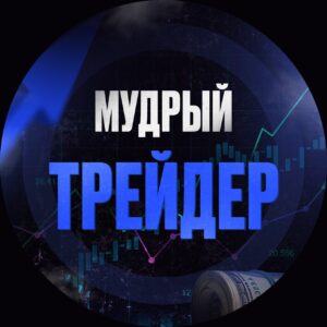 Мудрый трейдер Бинарные опционы