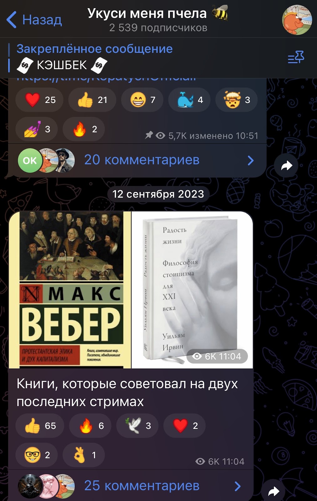 Проект KopatychChannel