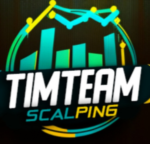 TIMTEAM