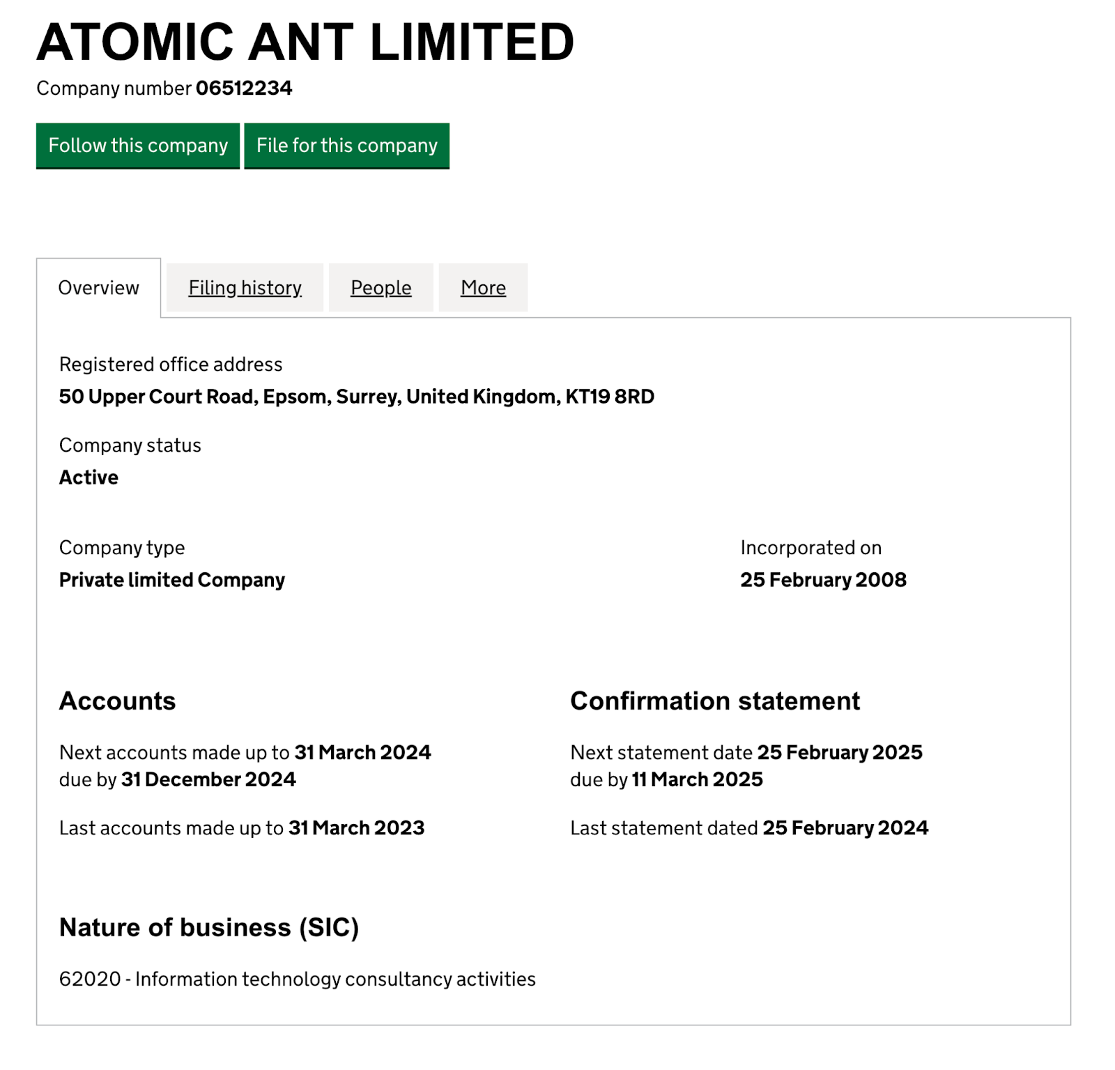 atomic ant компания