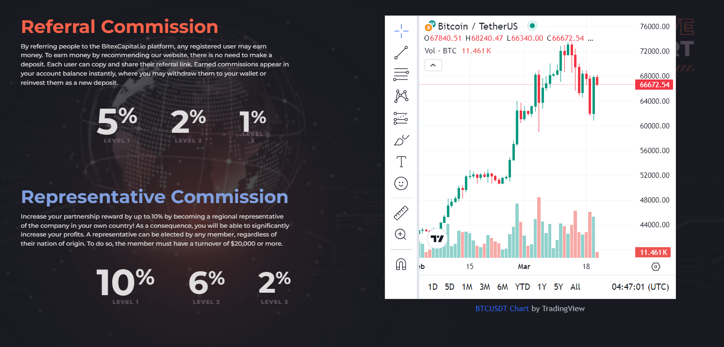 bitex ltd отзывы