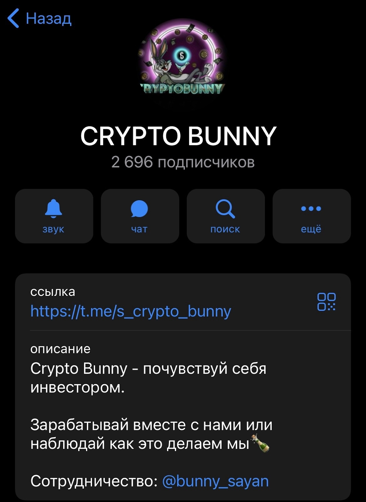 crypto bunny