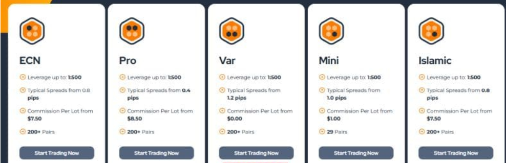 hivemarkets io