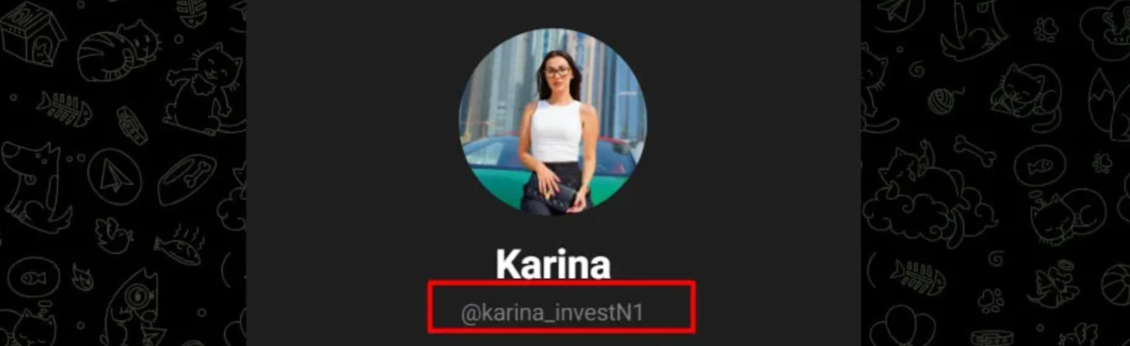 karina investn1