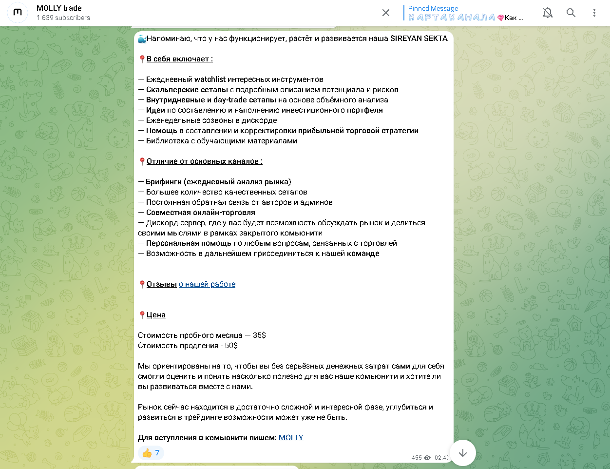 проект Молли Трейд
