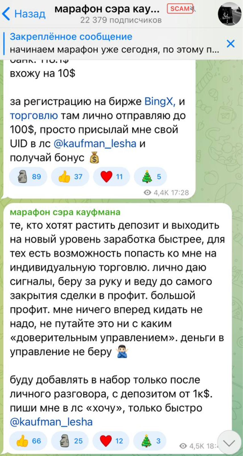 сэр кауфман отзывы