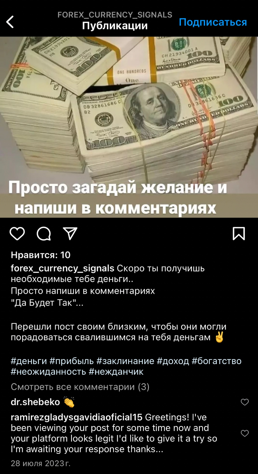 владимир шебеко отзывы