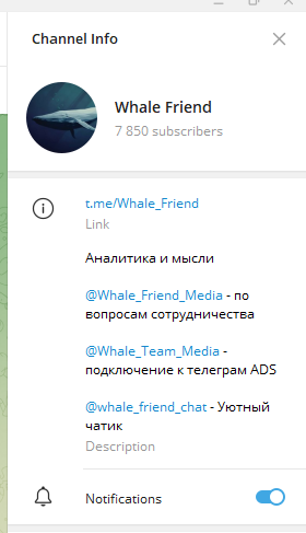 whale friend