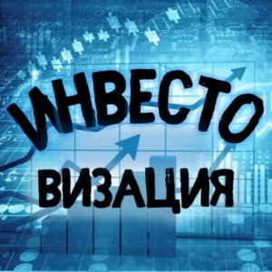 Инвестовизация