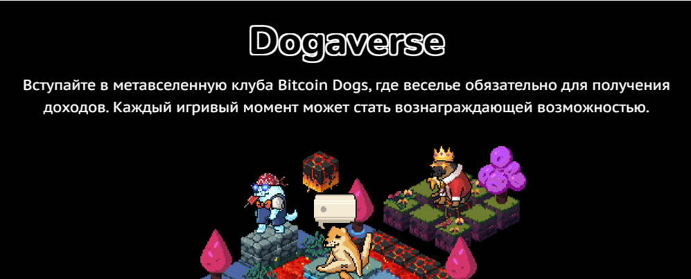 bitcoindogsclub