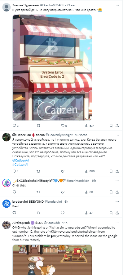 обзор CATIZEN Chat