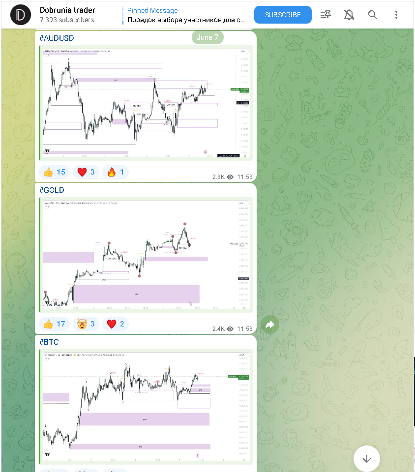 dobrunia trader курс