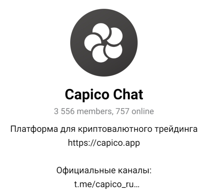 терминал capico