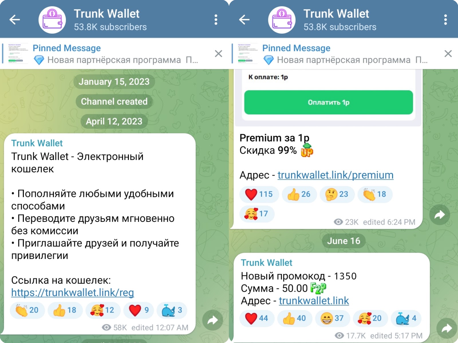 trunk wallet проверка