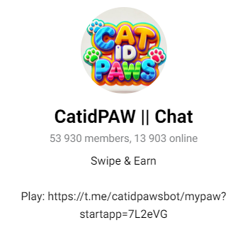 Cat Id Paws daily combo