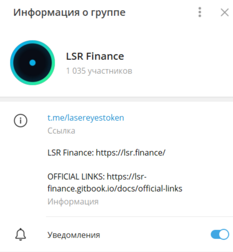 LSR Finance Official