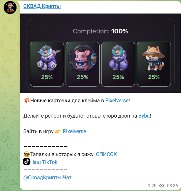 СКВАД Крипты СКВАД Крипты