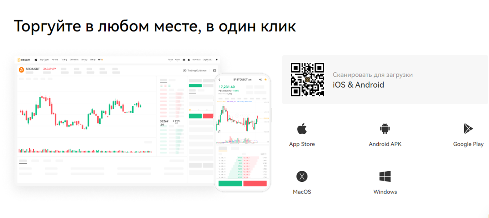 xt com биржа отзывы