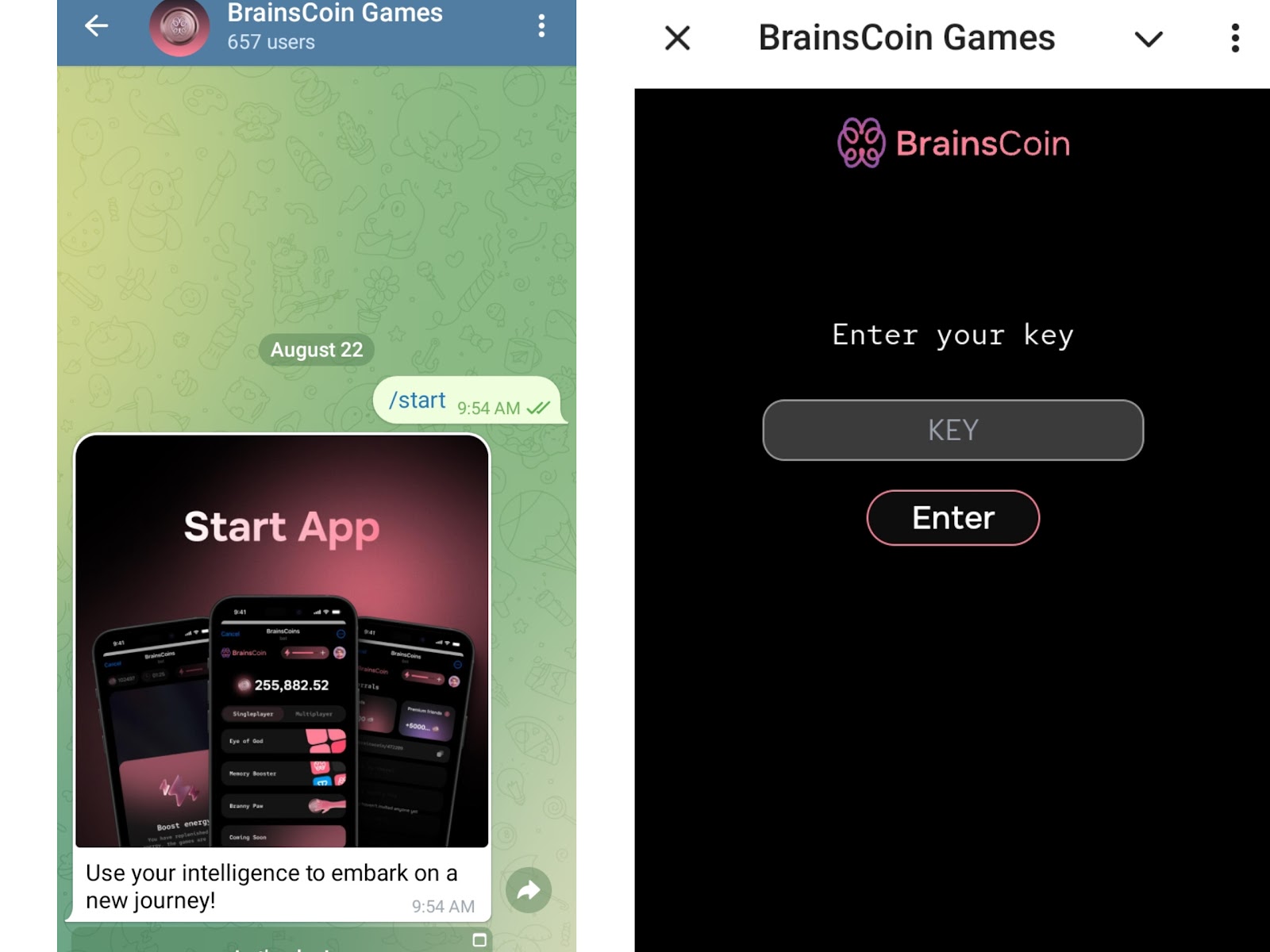 Brainscoin