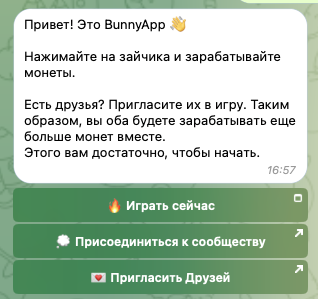 bunnyapp