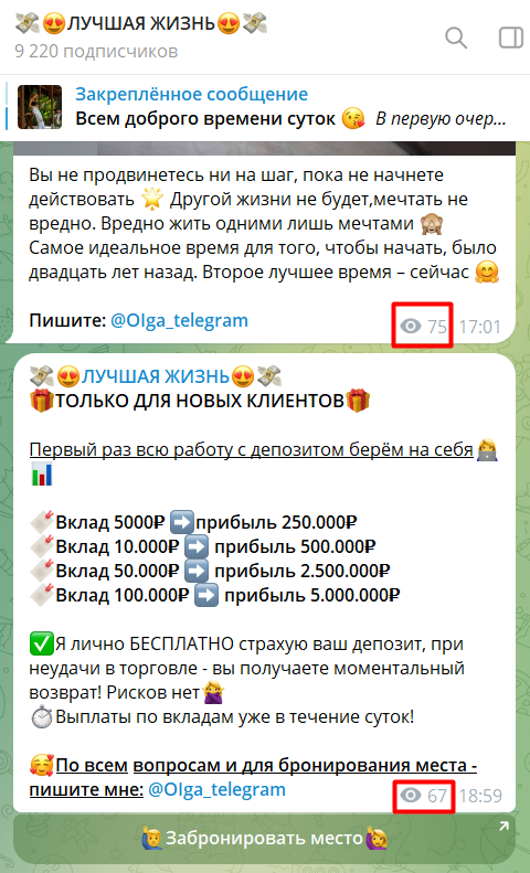 oiga telegram отзывы