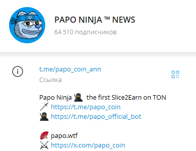 papo ninja курс