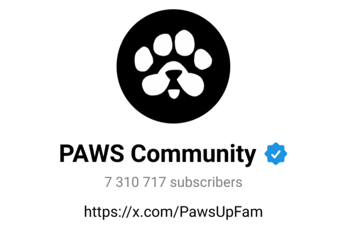 paws телеграмм