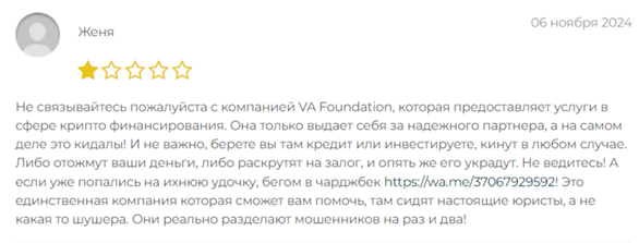 va foundation отзывы