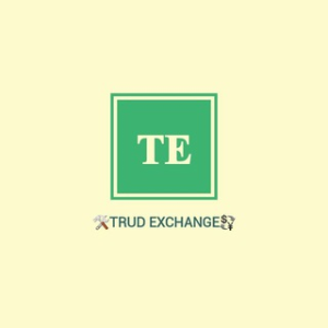 Trudexchange-otzyv