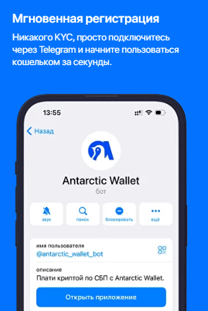 antarctic wallet news