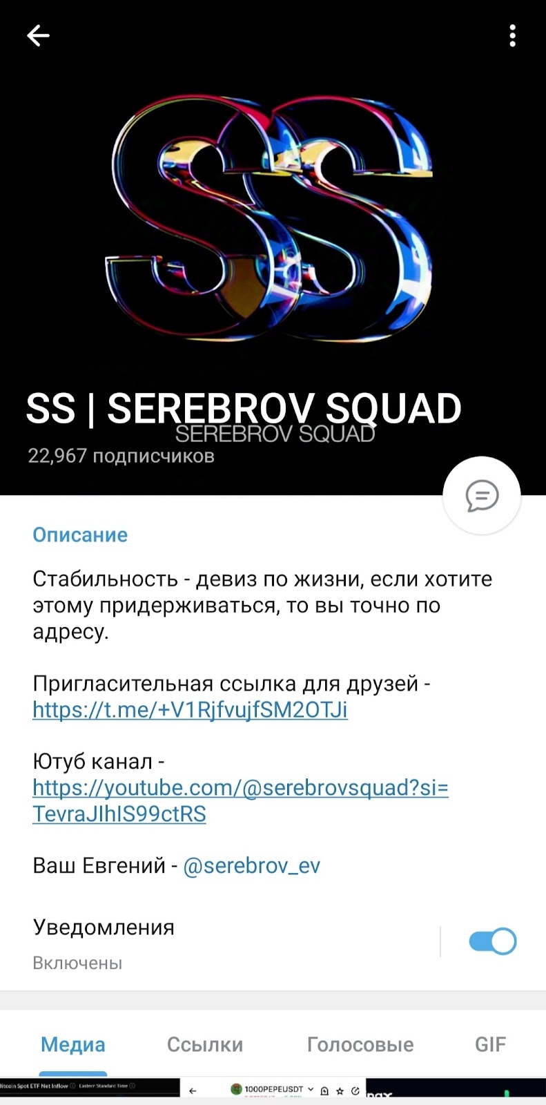 ss serebrov squad telegram